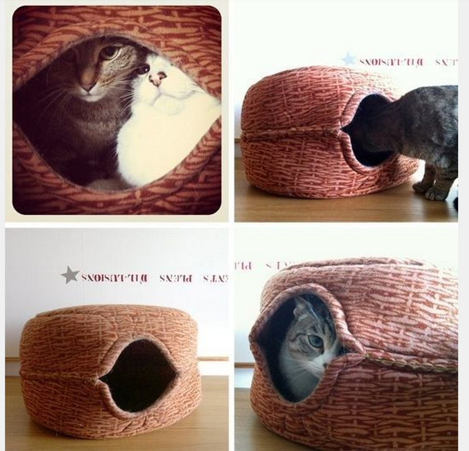 23 clever life hacks every cat owner needs to know Expert Home Tips