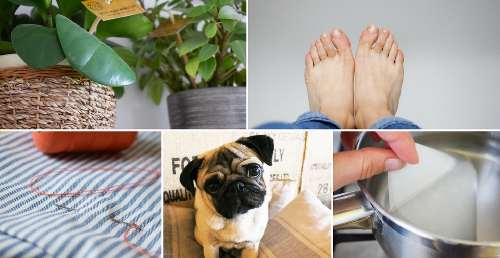 25 surprisingly useful ways to use those old dryer sheets expert ways to use dryer sheets