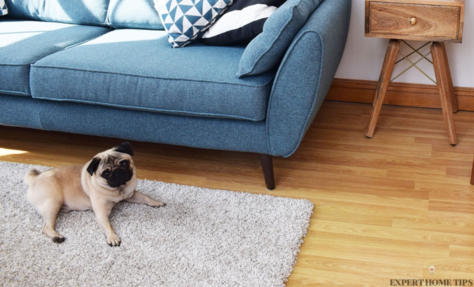 warm shaggy rug