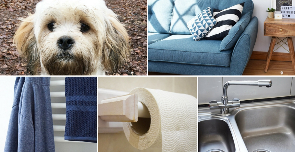 Help, my house STINKS! How to get rid of smells for good