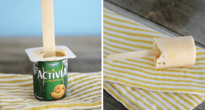 yoghurt ice pop