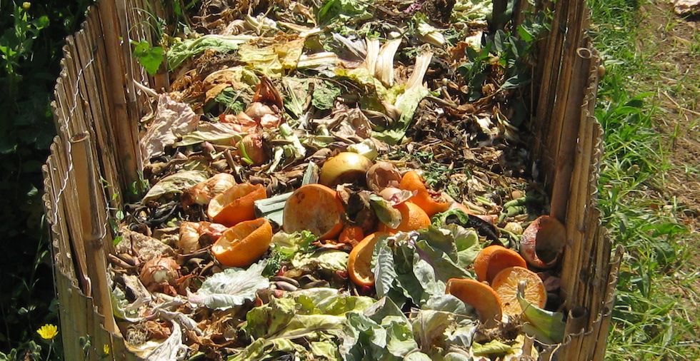 How to make compost: 27 surprising things you can add to the heap