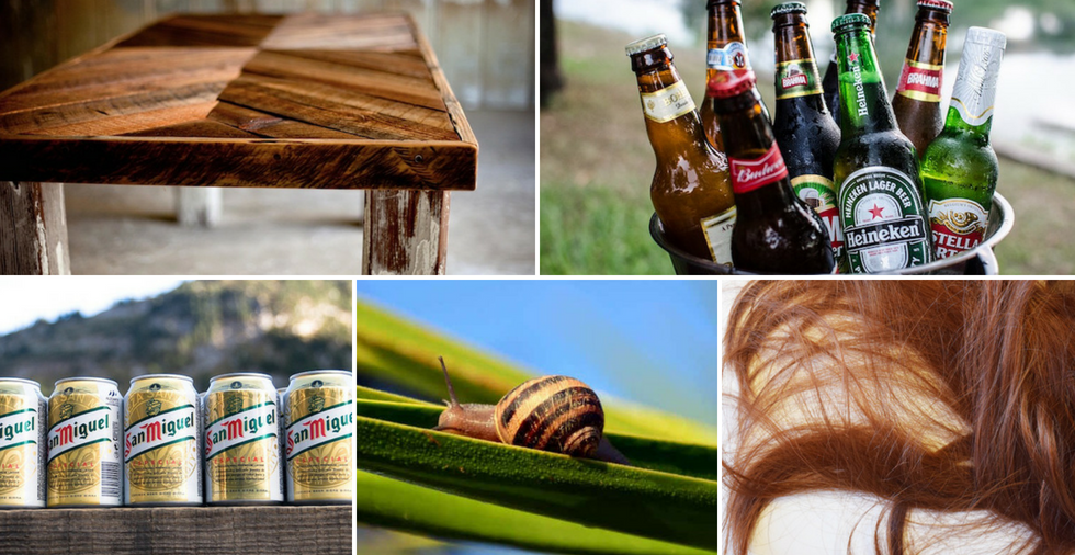 19 alternative uses for beer (that won't get you drunk!)