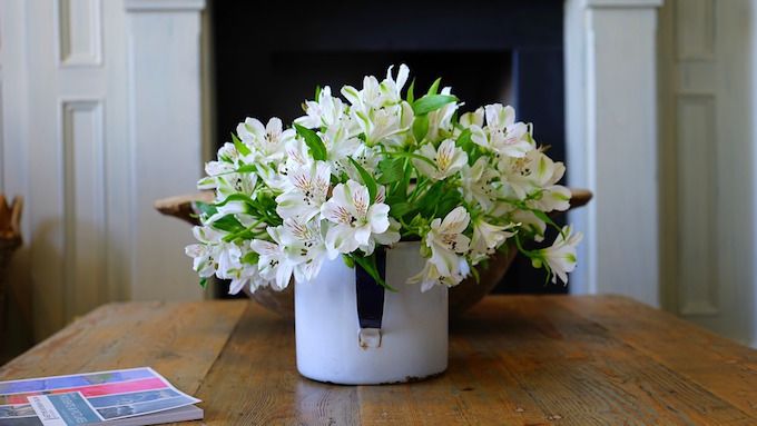 table plant
