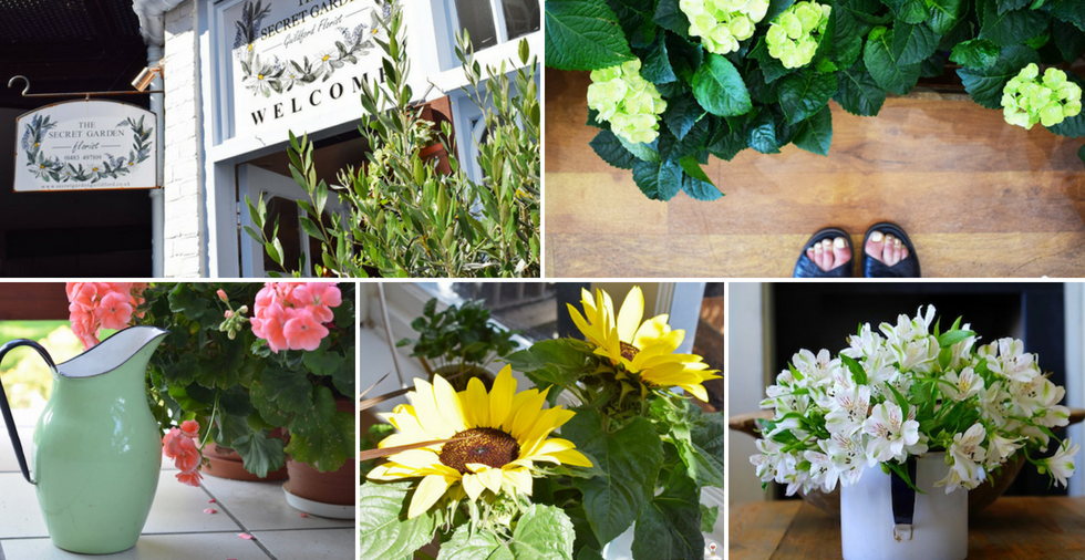 Houseplant care: secret tips & tricks from our local florist