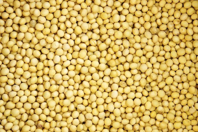 Canned beans