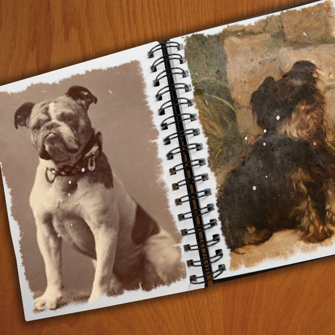 pet scrapbook